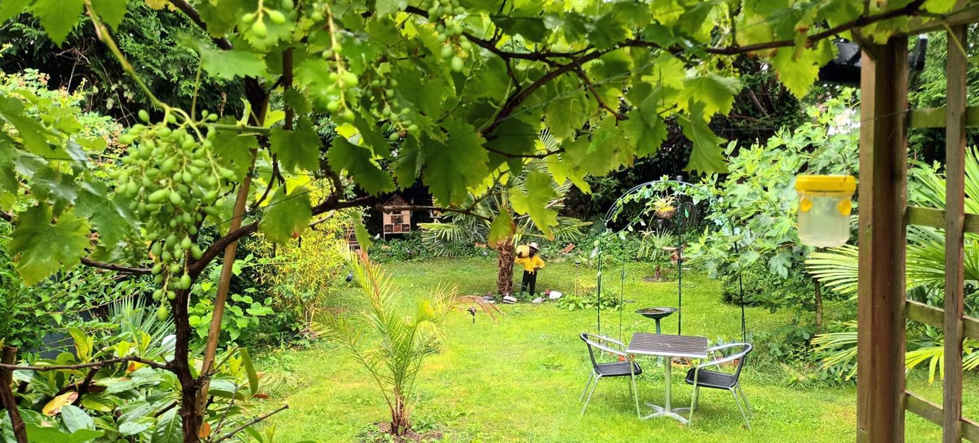 Gite Du Jardin Secret Saint-Valéry-sur-Somme Exterior photo